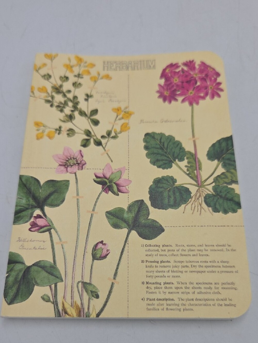 Journal Bundle - Picture 11 of 13